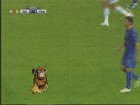 z4.gif